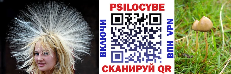 Галлюциногенные грибы ЛСД  Старая Купавна 