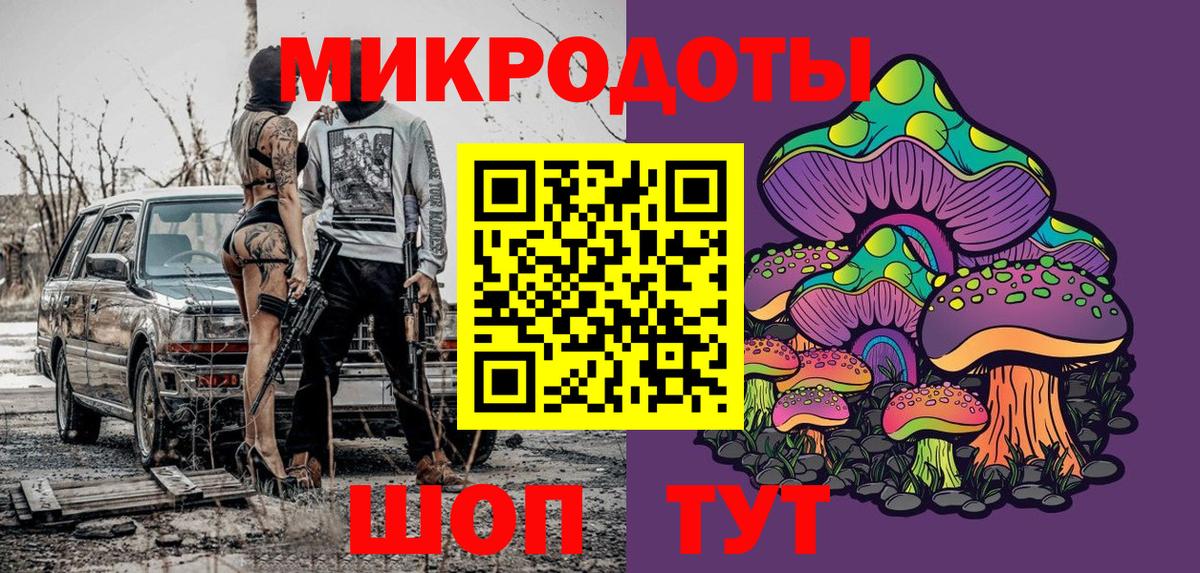 Старая Купавна  как найти   Вход с VPN  Псилоцибиновые грибы Psilocybe 