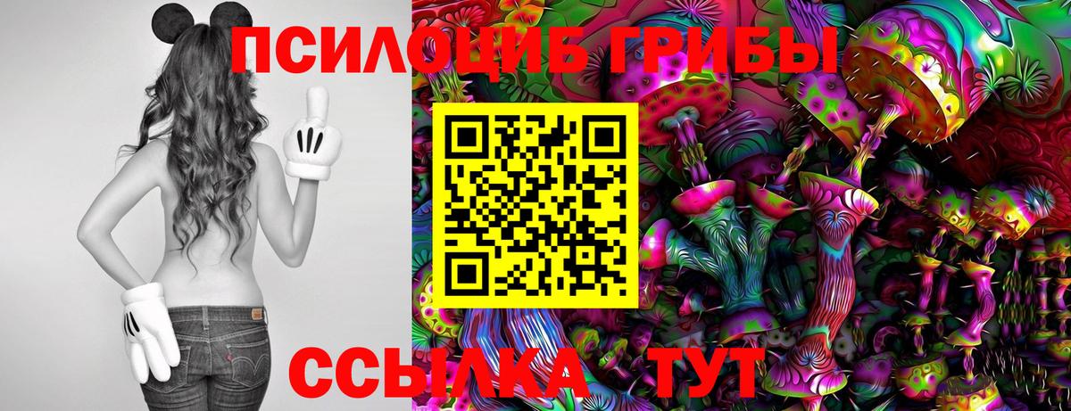 Галлюциногенные грибы Magic Shrooms Старая Купавна